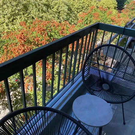 Crystal Grey Elite 1 * سيرس